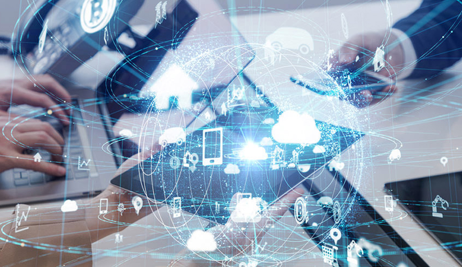 Project management and site coordination - Alexis